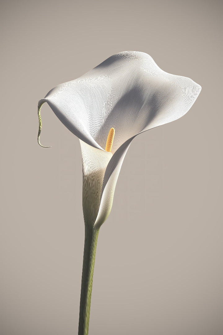 Obra de arte digital imprimible para decoración de interiores
